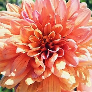 20% off when you bundle!!!